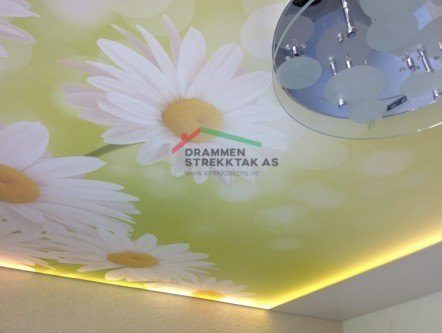 Design Solutions